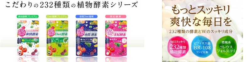 ISDG
���T�C�g